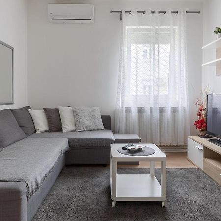 Lisinski Apartment With Private Parking Zagreb Dış mekan fotoğraf